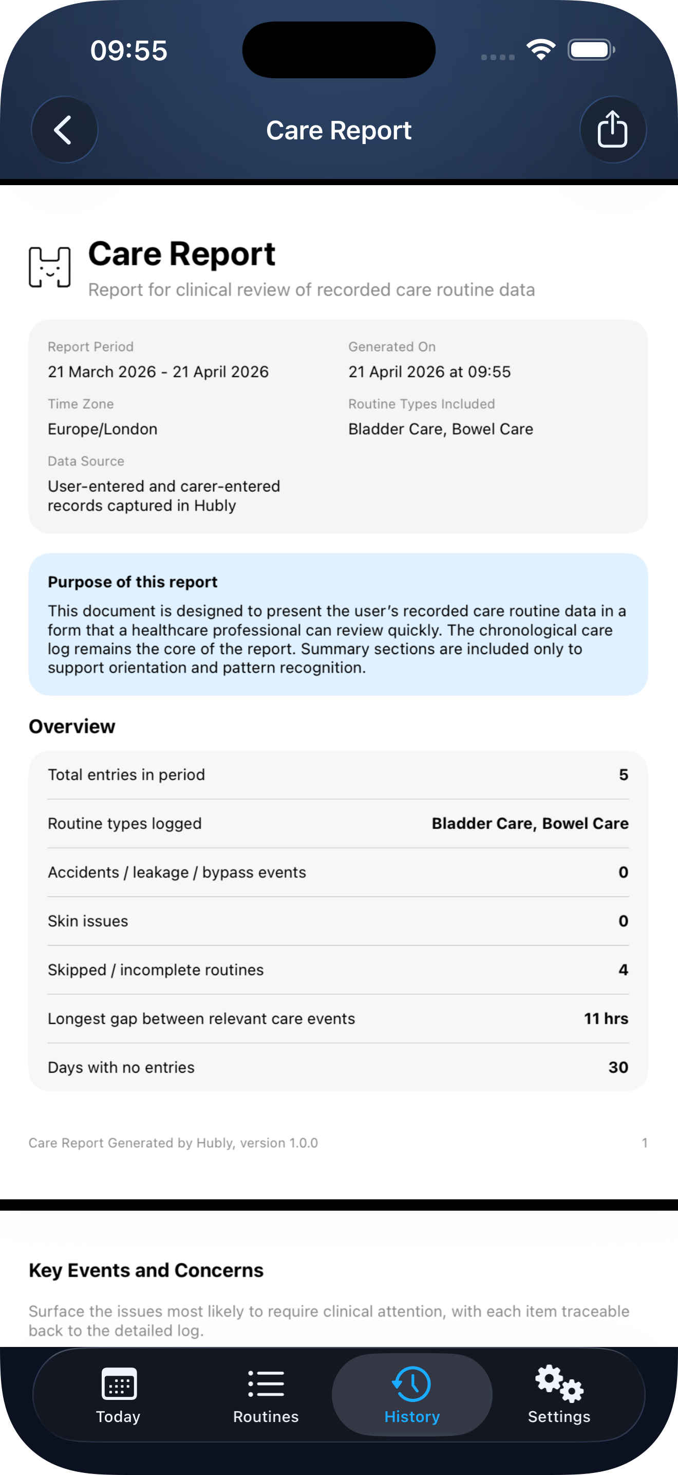 Hubly PDF export report screen
